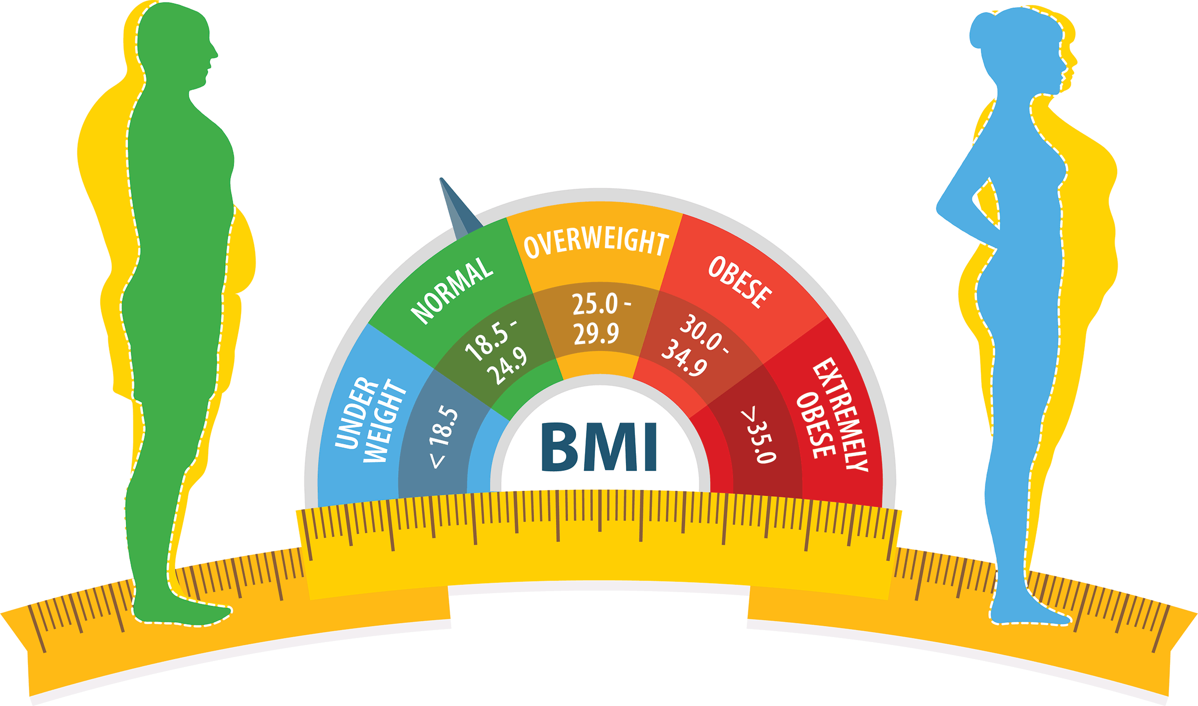 BMI Infographic