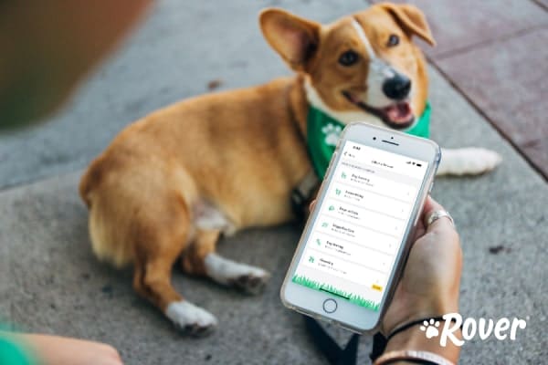 Rover App Search Results