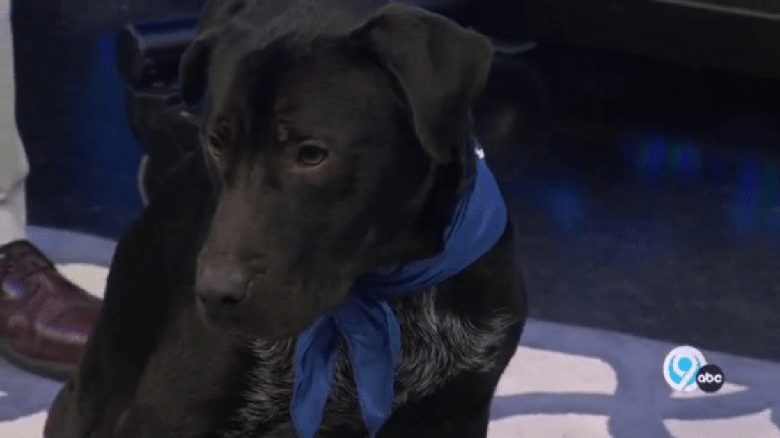 Duke