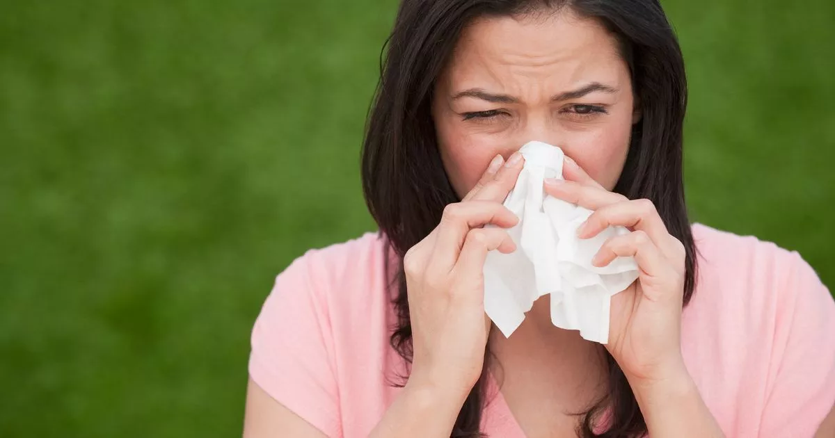 0 Hispanic woman blowing nose
