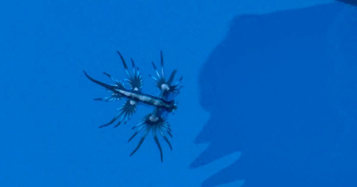 172511