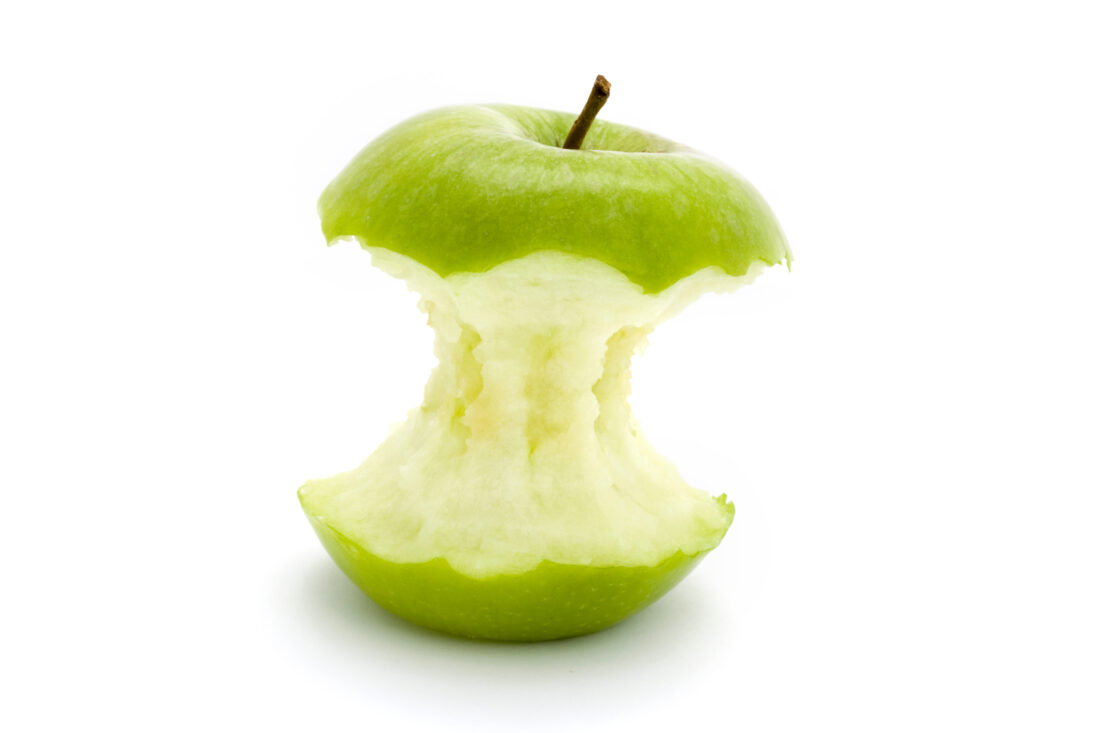 AdobeStock 25488693 1100x733 1