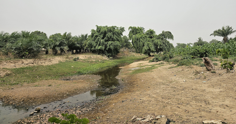 Bhoktear Khan Nigeria 800x420 1