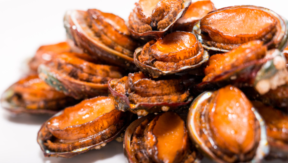 Braised abalone in brown sauce