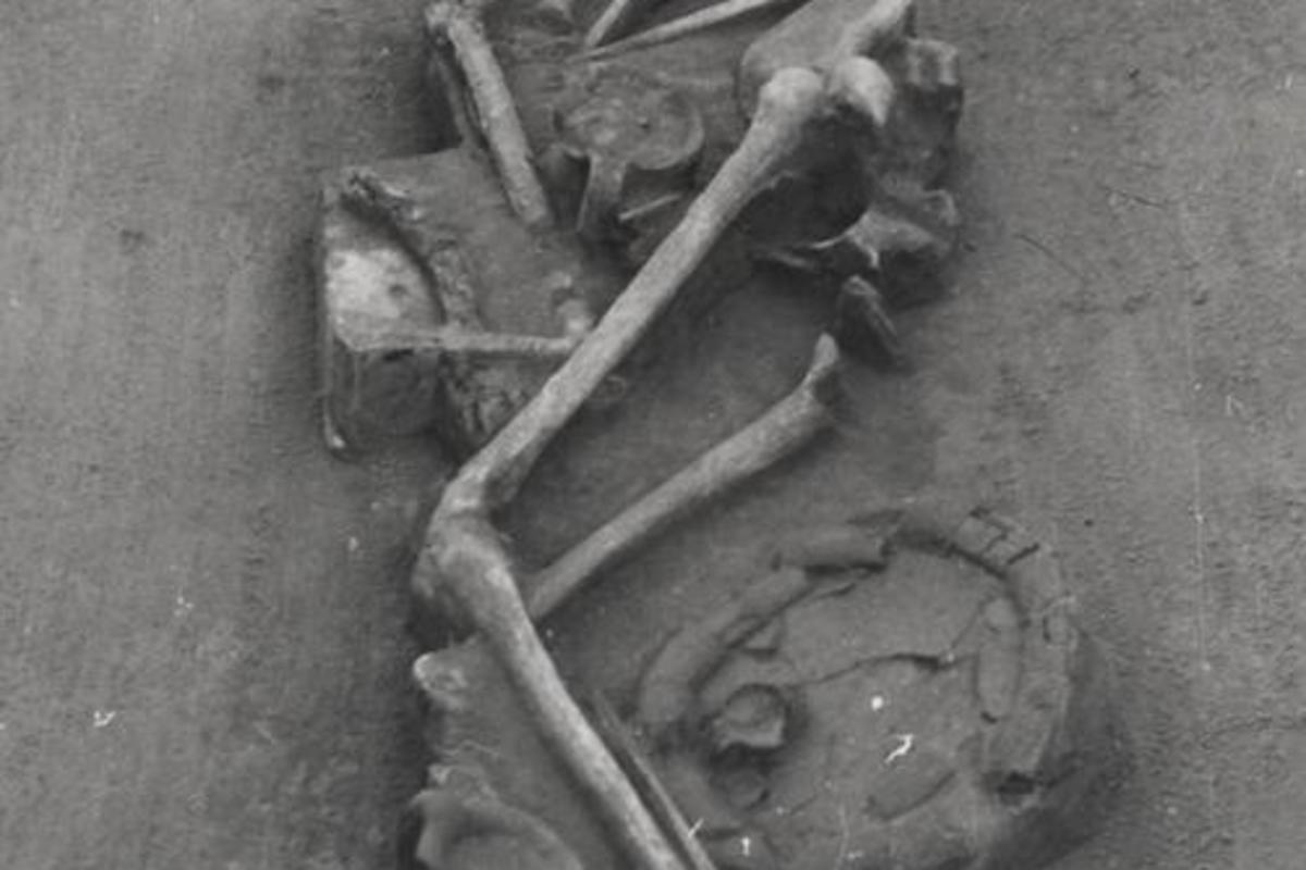 Bronze Age TiszafC383 red Majoroshalom site