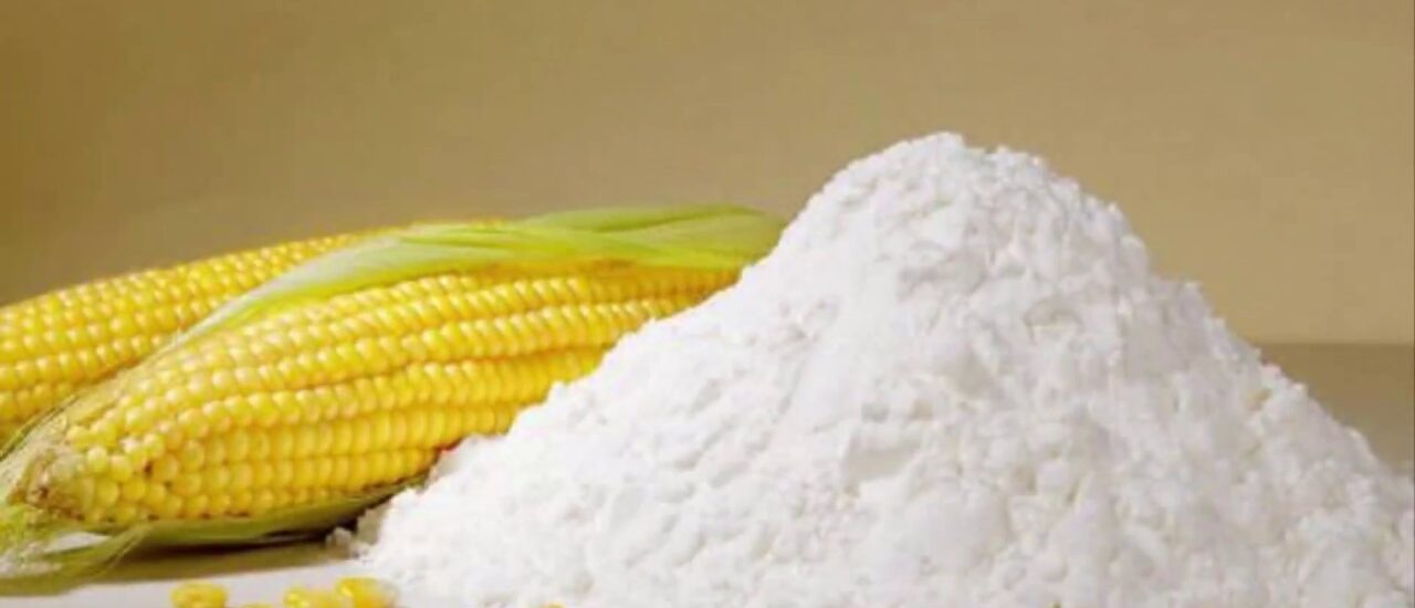 Corn Protein Market 1280x550 1