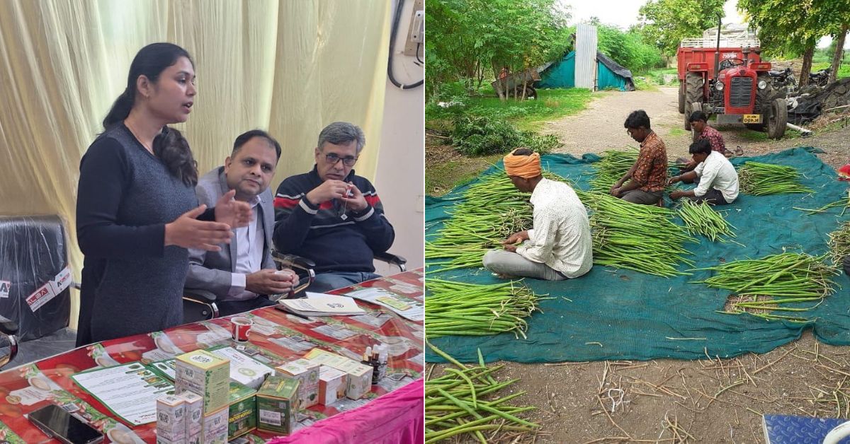 Doctor Moringa Pvt Ltd 5 1747913135 1751029407