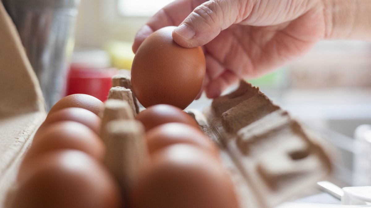 Huevos