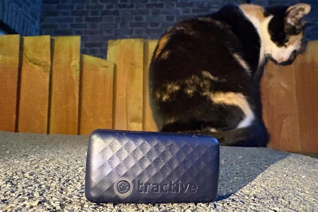One Tech Tip Tracking Your Pet 70862 1 1