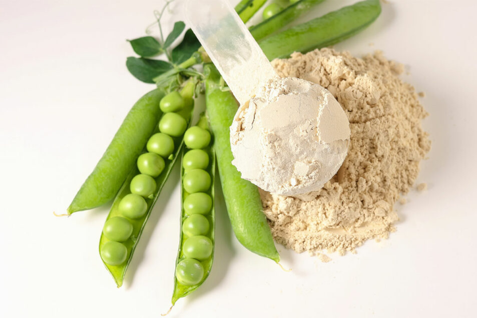 PeaProtein Lead AdSt Praewphan