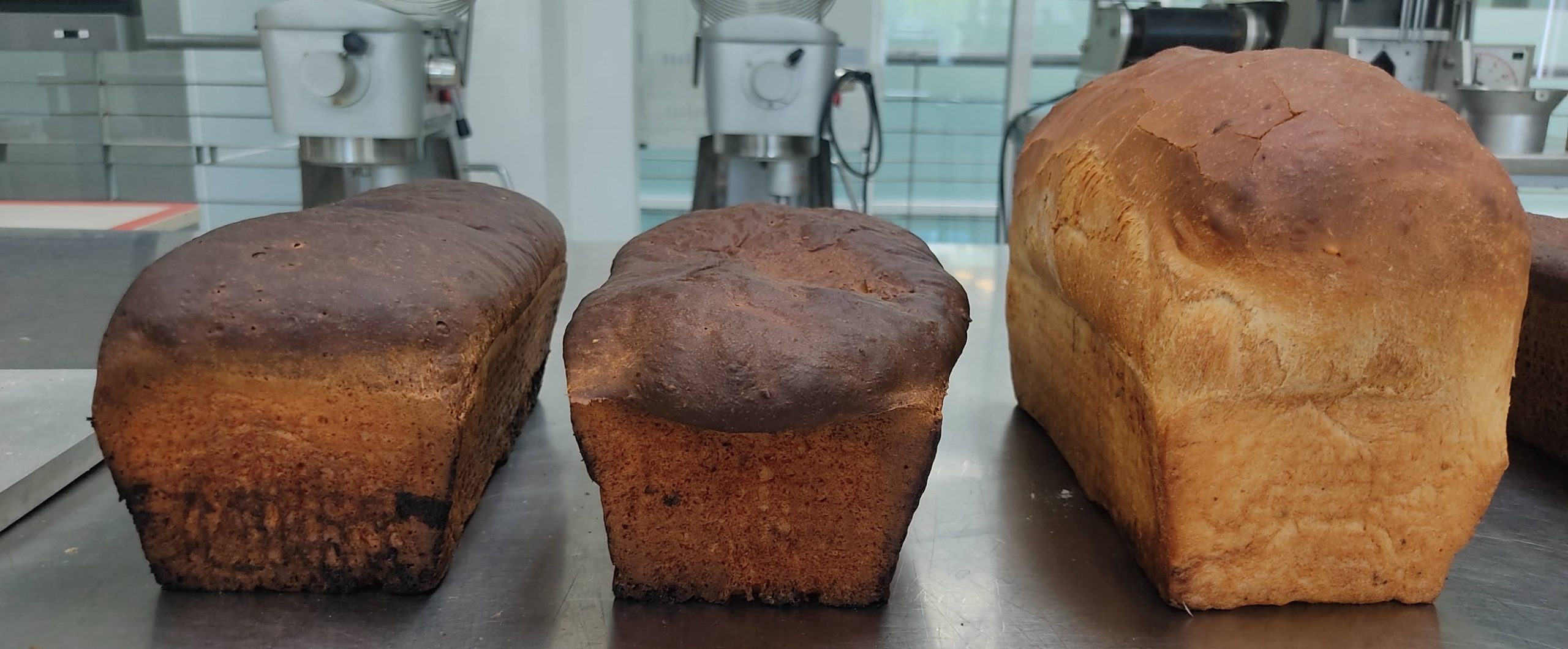 Tecnologico de Monterrey Bread 1 scaled 1