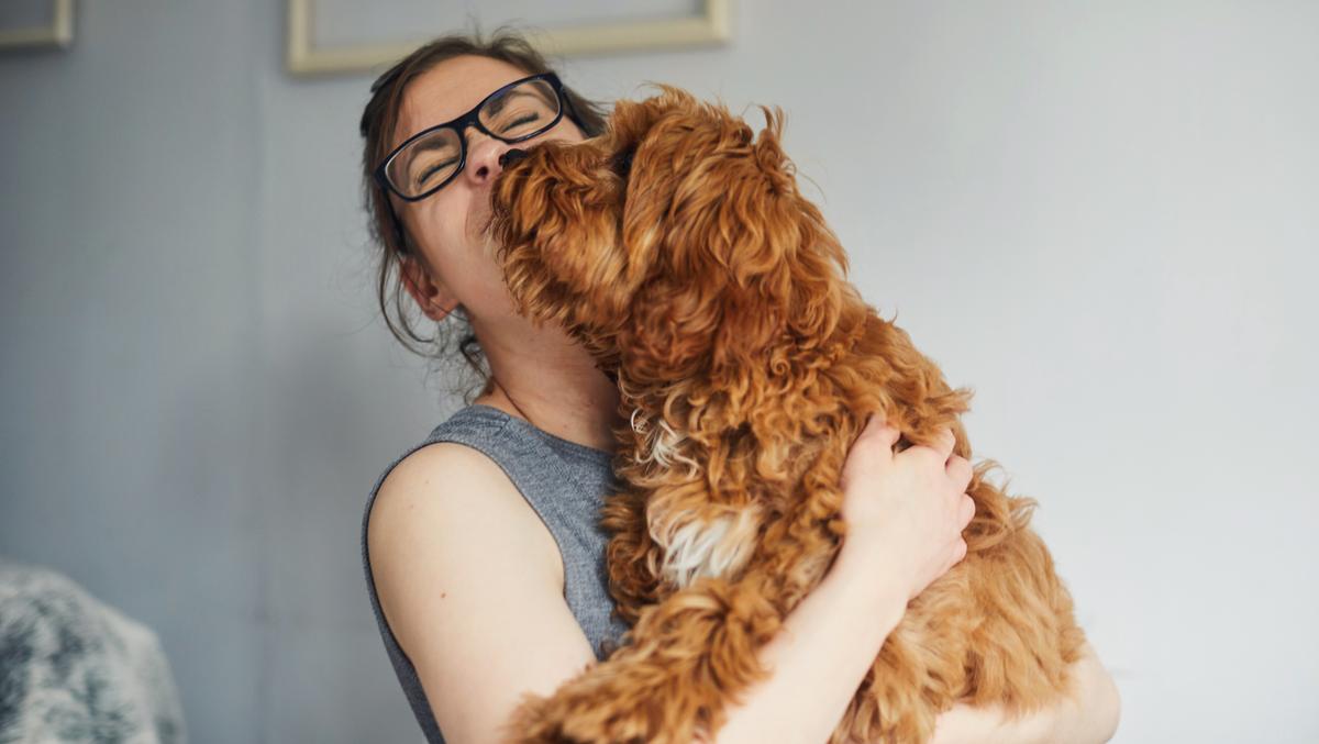 bizwomenwomandog1200xx6720 3794 0 335