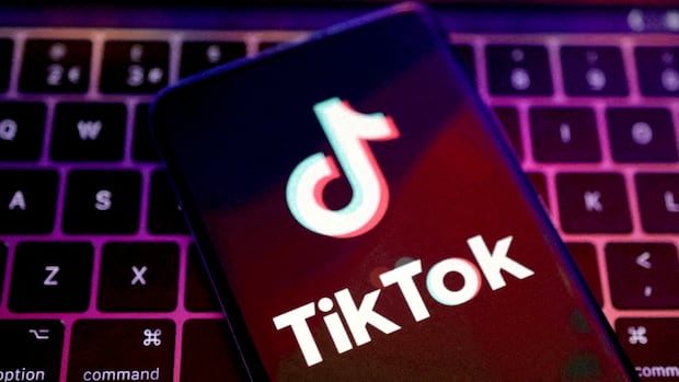 eu tiktok tech