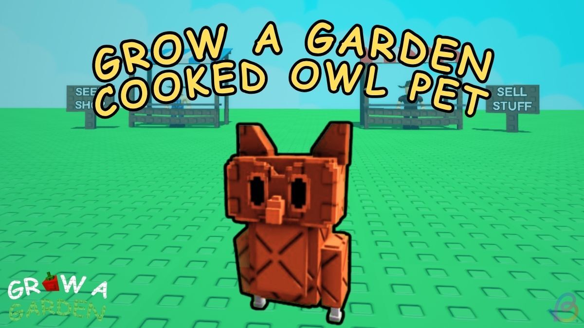 grow a garden cooked owl pet