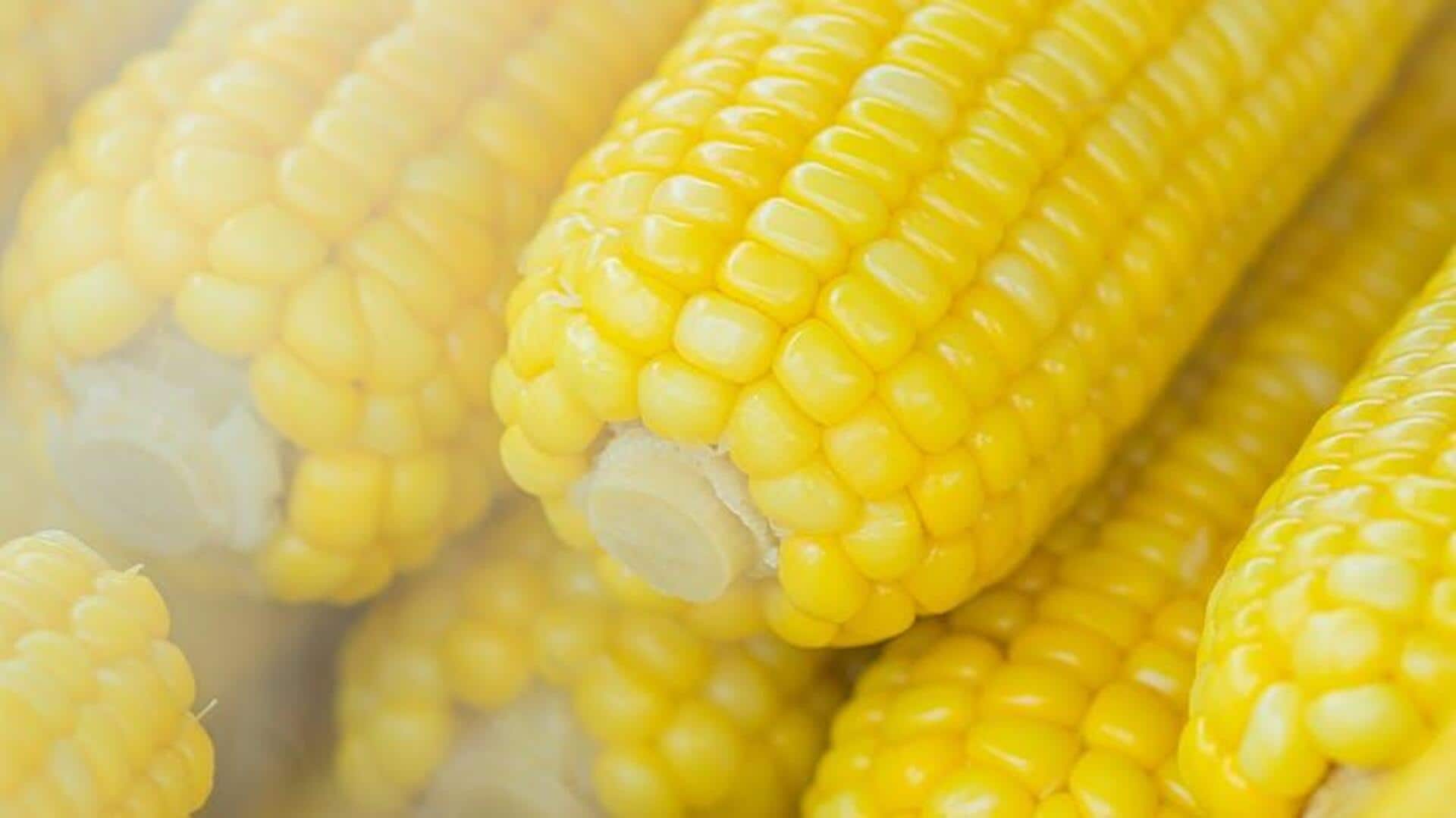 l59120250620131156