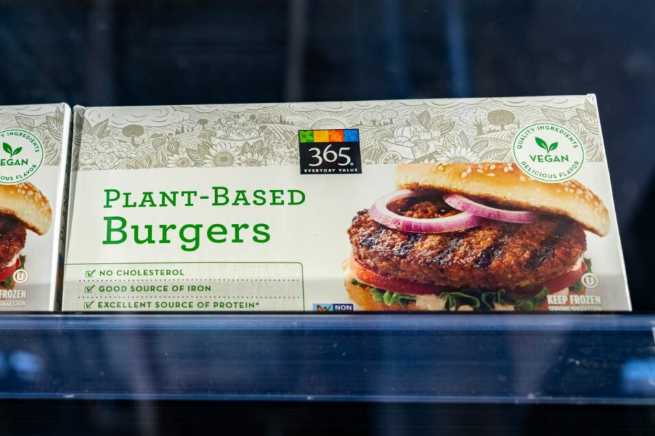plant based lead
