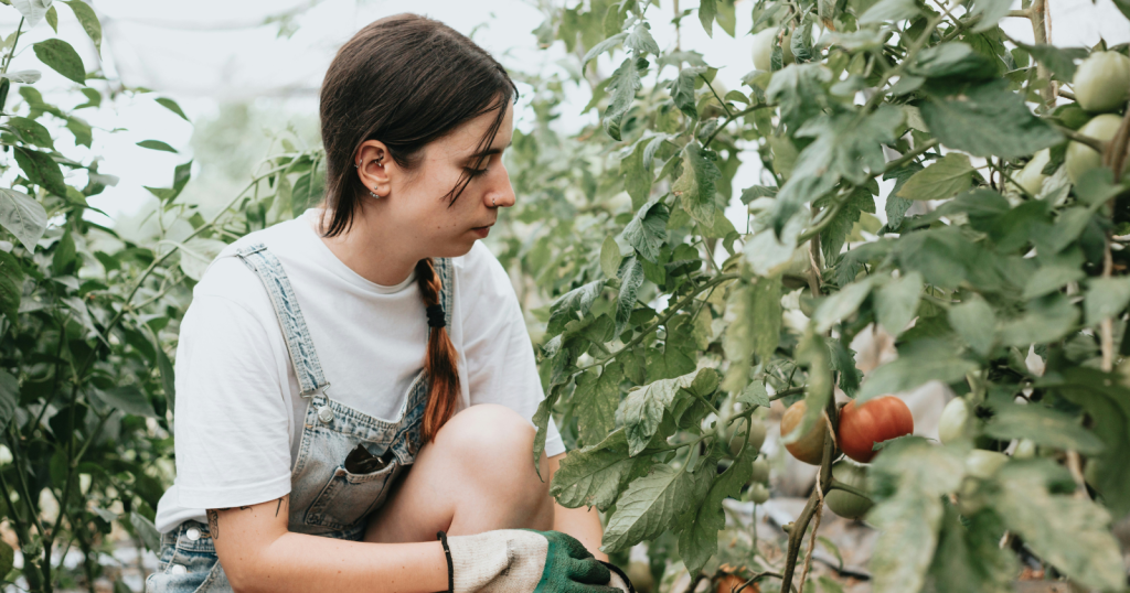 produce calendar 1024x538 1
