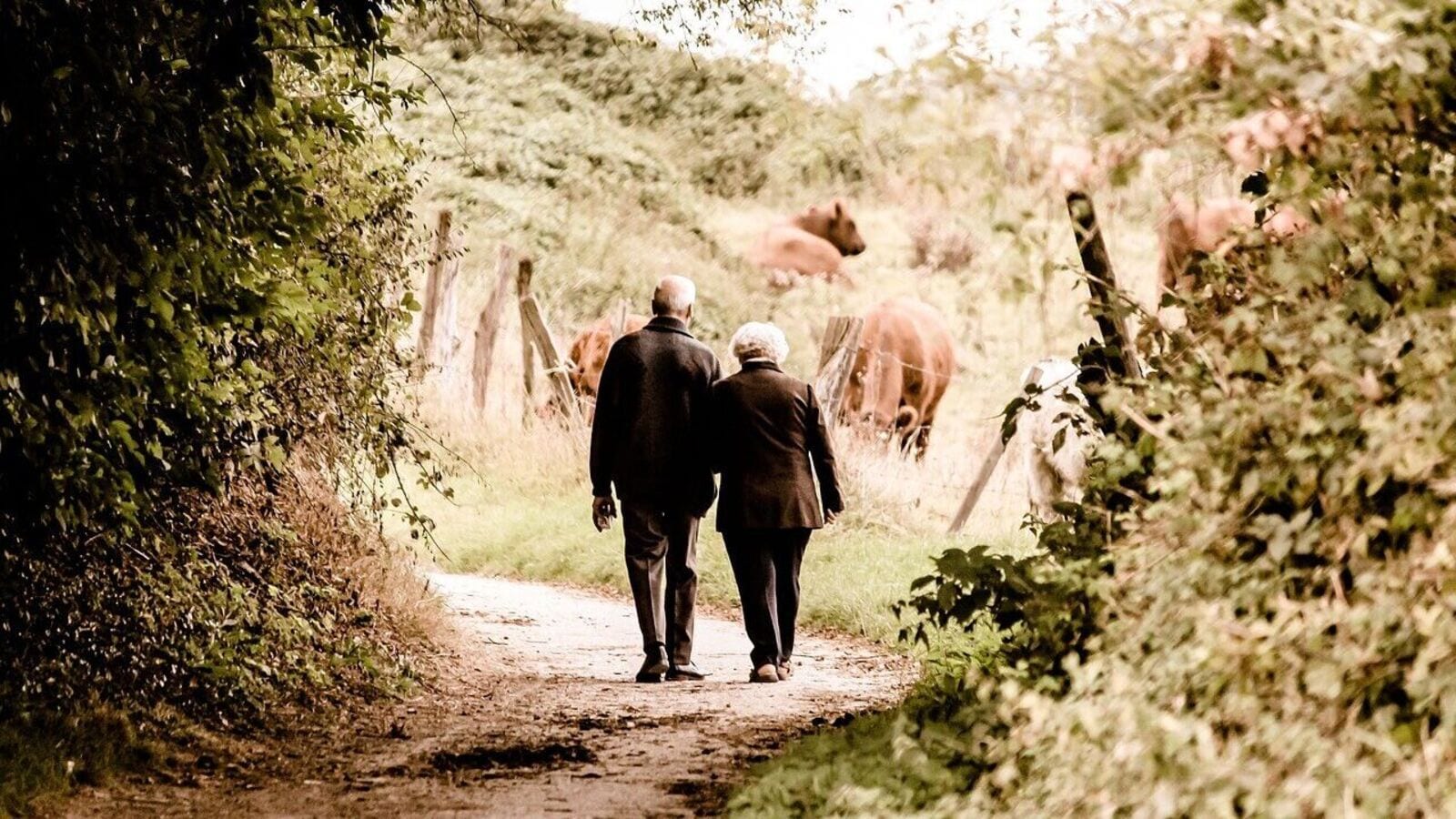 retirement 1750152419349 1750152419599