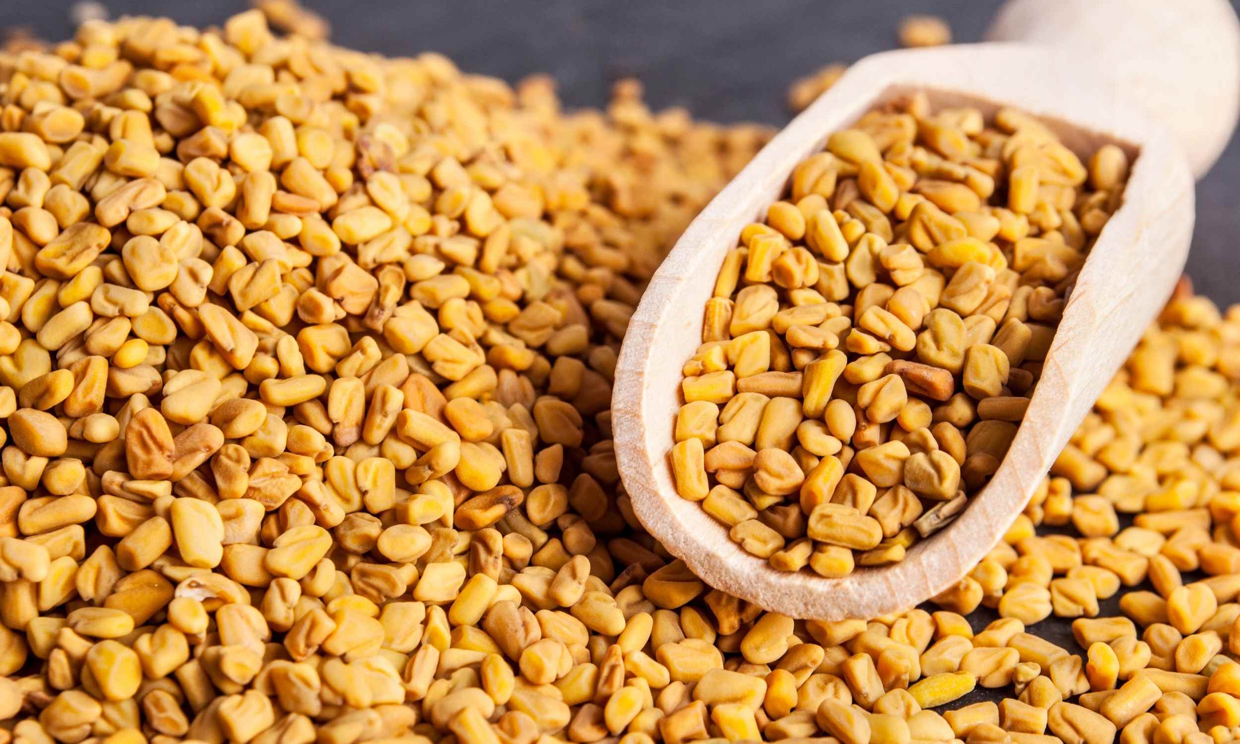 seed protein magnesium muscle mass digestion