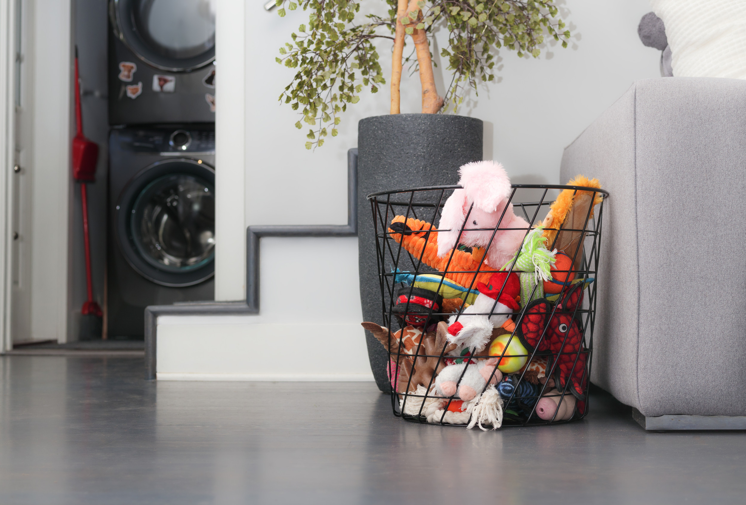 variety pet toys basket