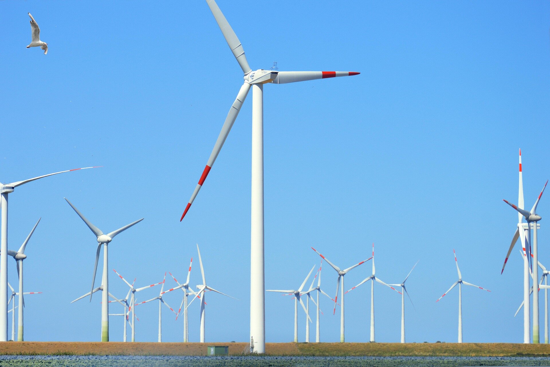 wind energy
