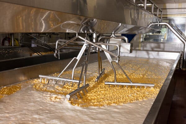 00biz ag whey lede bgpv articleLarge