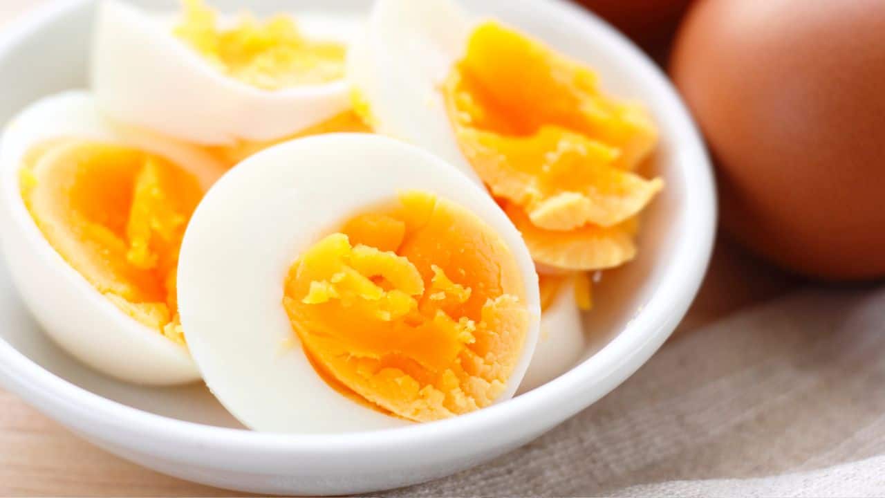 20240812124548 eggsssss
