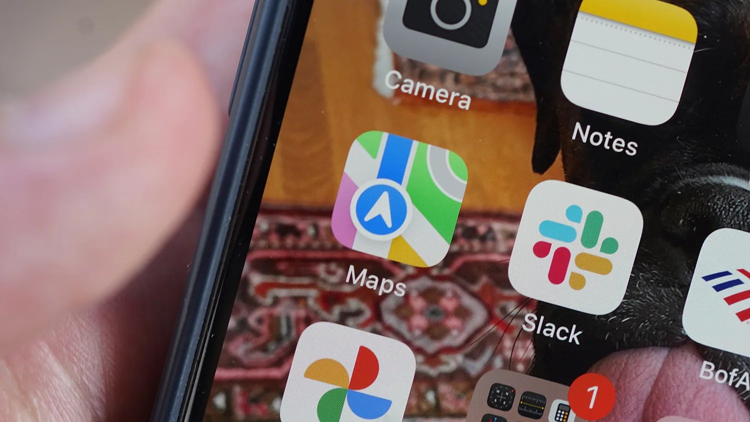 Apple Maps feature lead jpg