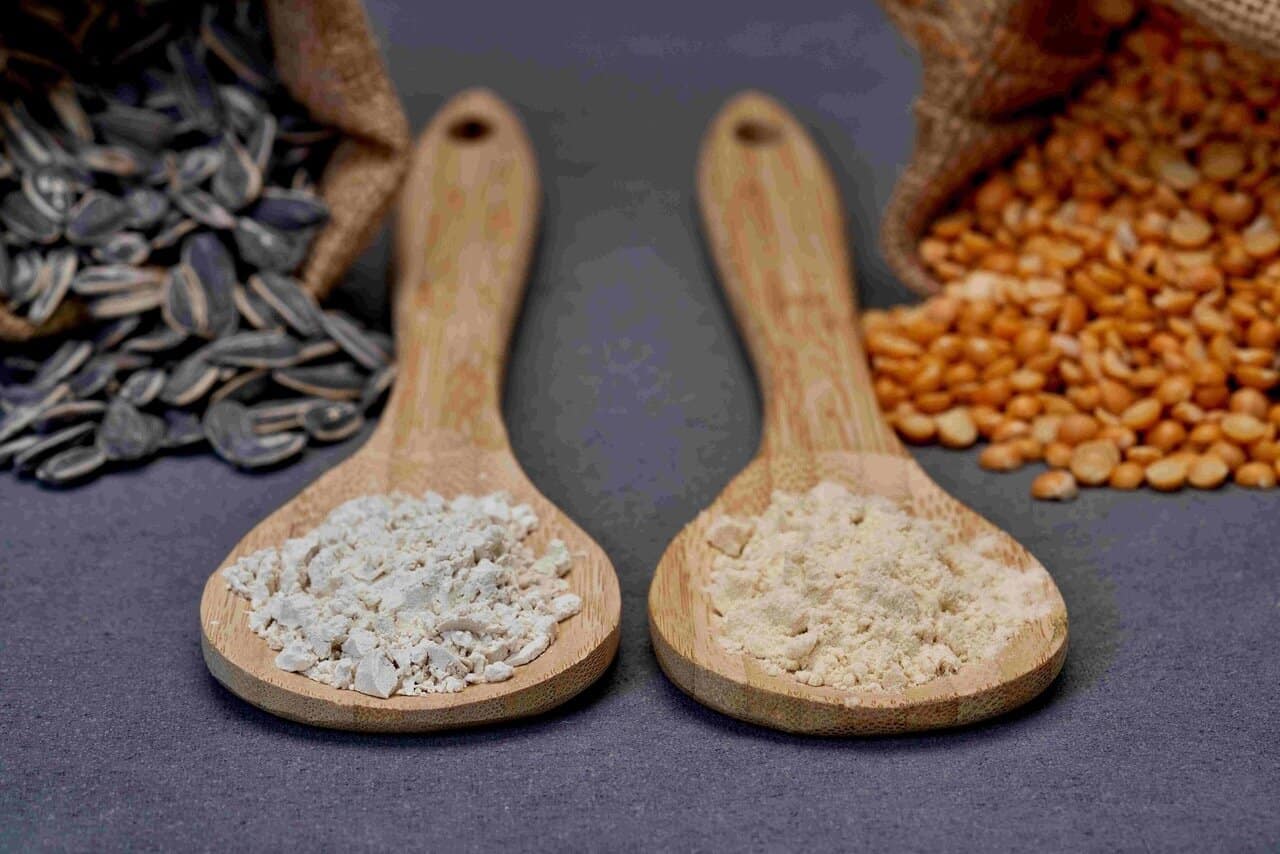 Burcon Solatein sunflower left and Peazazz C pea protein isolates MR