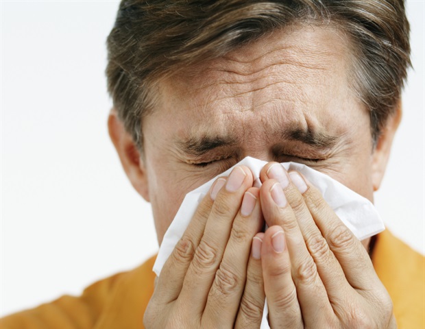 Hay Fever 620x480 1