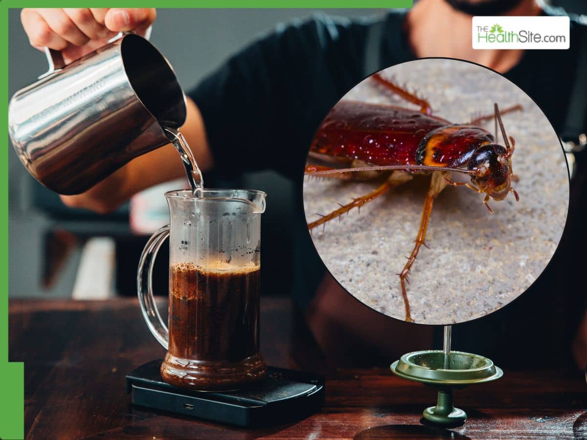 Is Your Coffee Safe Pre Ground Coffee May Contain Cockroach Bits Warns Shocking Report