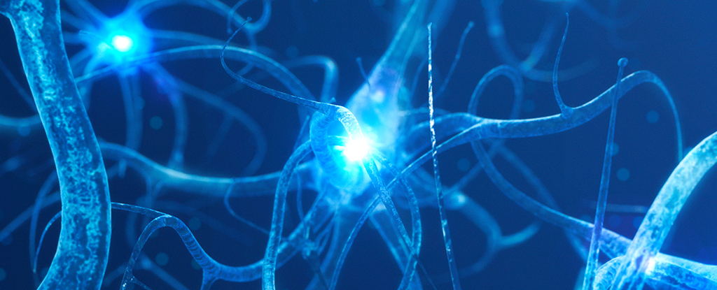 NeuronConnections