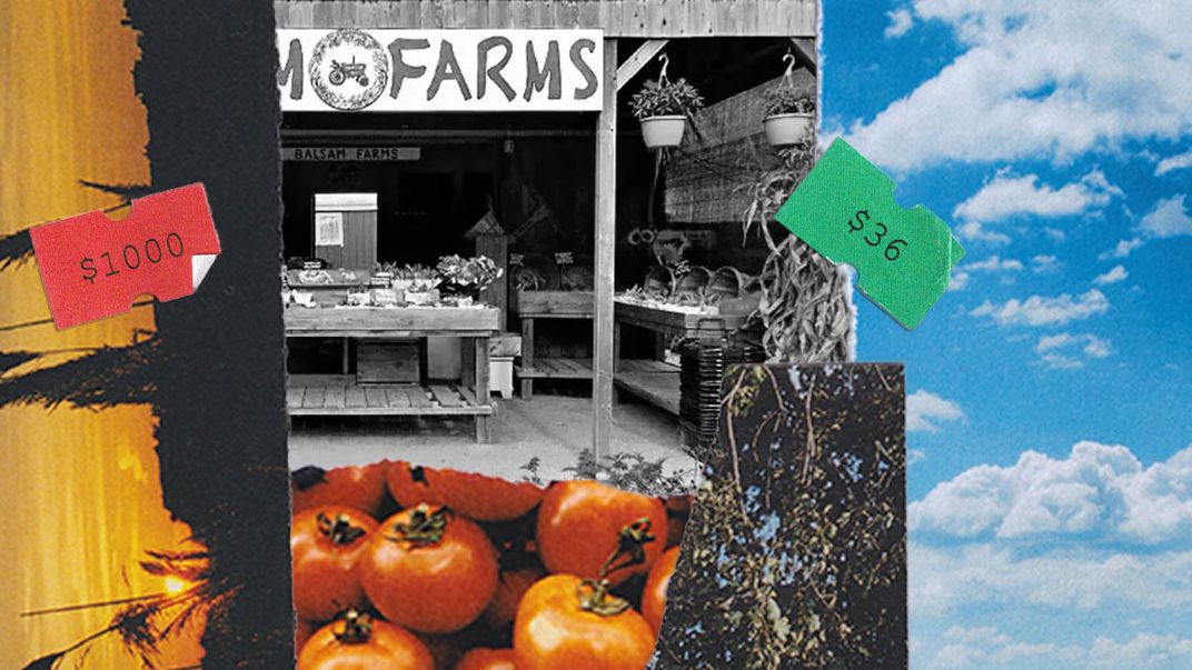 VO Hamptons GrocersFarmstan