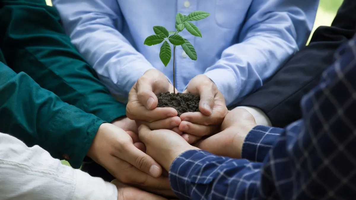 decluttering sustainability 1752689013493