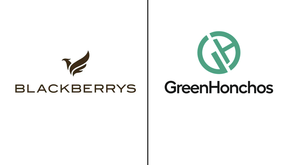greenhochos 2025 07 11 16 43 42