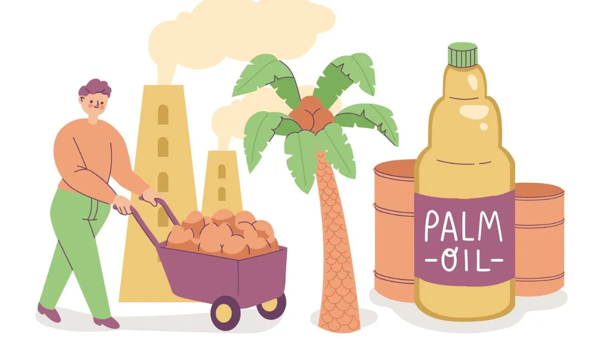 mn palmmoil 1752833833576