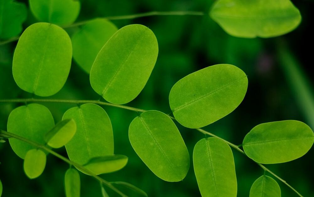 resultneha maheen mahfin wovjoipwgy4 unsplash 1 1751896469663