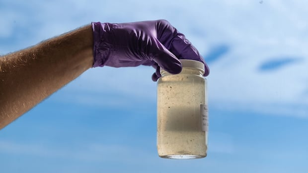 wastewater uwo