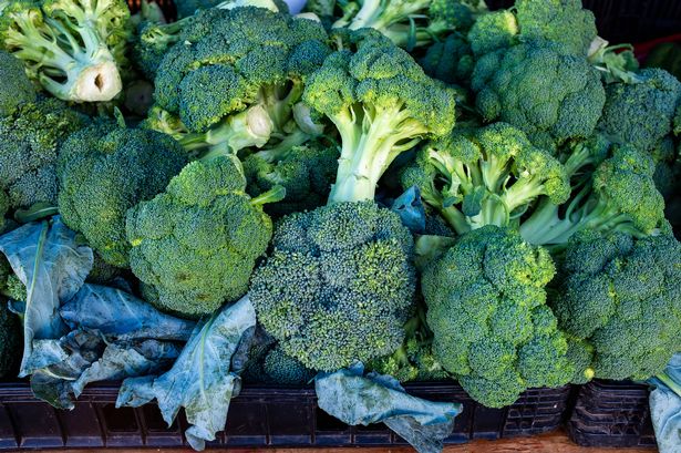 0 Broccoli Heads