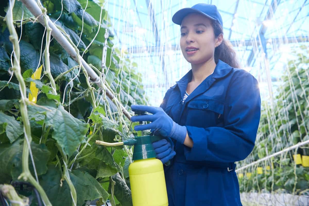 Importance of Biopesticides6