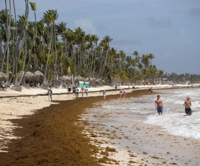 Mexico declares sargassum a fishery resource for industrial use