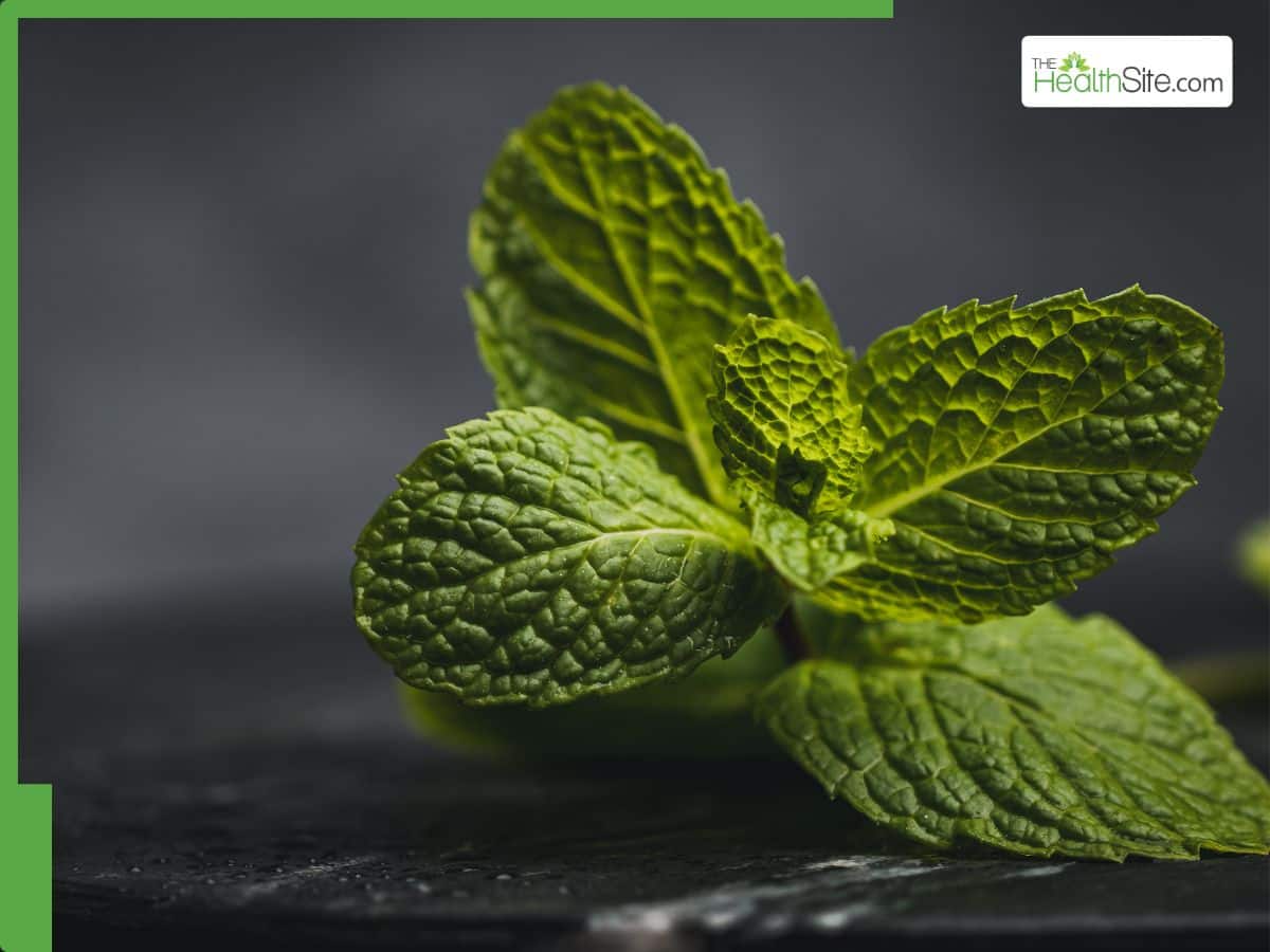 Mint Leaves For Fatty Liver