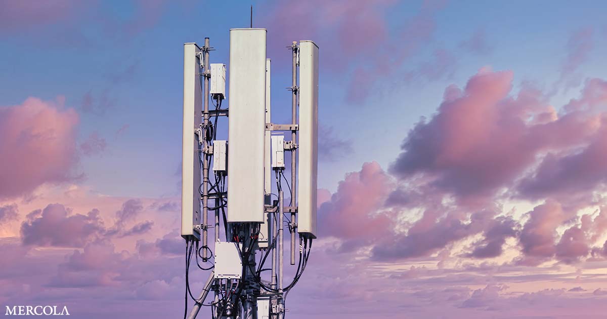 health risks of 5g fb