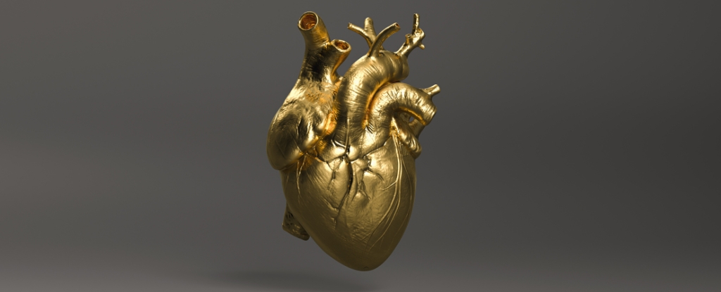 protect heart header