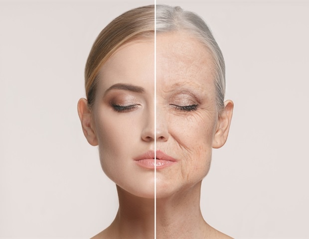 shutterstock 1028141632 649cad8889c647fc8d0bd83bf7503e08 620x480 1