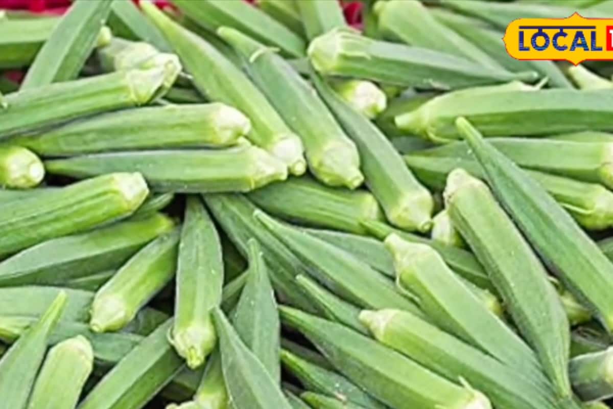 5 Health Conditions That Make Eating Okra Risky 2025 09 ac9966ef1f617cc42b7a602ac9c71d33 3x2 1