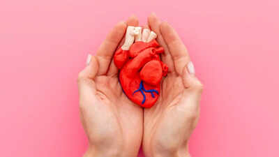 5 ayurvedic herbs to improve blood circulation and strength protect your heart naturally