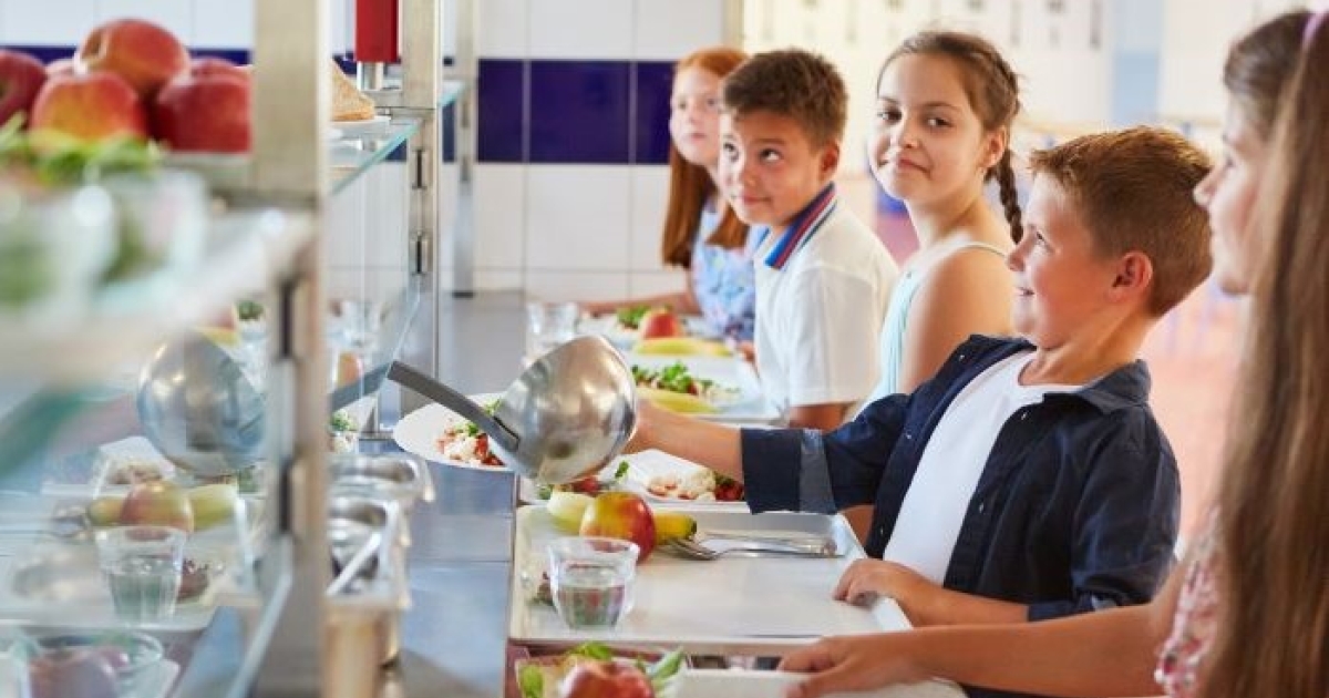 AdobeStock Robert20Kneschke California school foods ban synthetic
