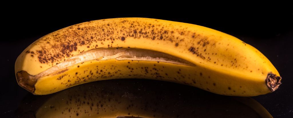 BananaPeelCookies