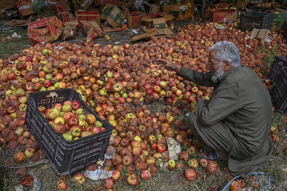 Rotten Apples